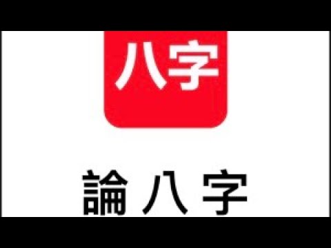 論八字電腦版