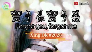 Download lagu 忘了你忘了我  Wang Le Ni Wang Le Wo | Mandarin Song Cover mp3