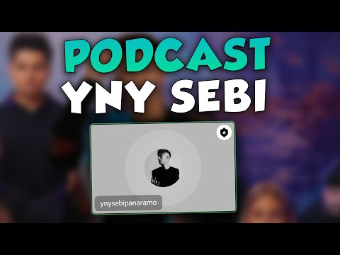 Podcast pe discord cu YNY SEBI