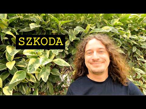 How to say Pity in Spanish? Spanish words PENA and LÁSTIMA | Hablo Español 263