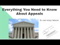 Everything You Need To Know About Appeals