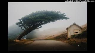 Vic Chesnutt - Betty Lonely