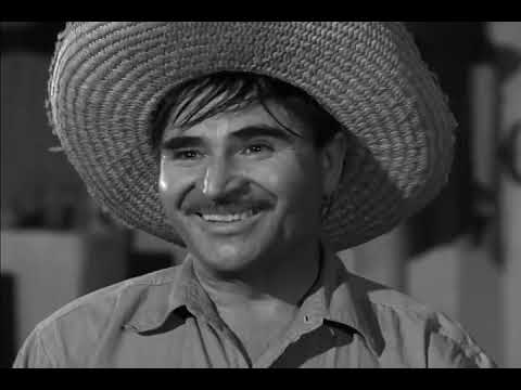 Mister Ed S01E11 Ed the Witness