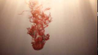 Michael Robotham - "Todeswunsch" - Goldmann