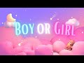 1 Hour Gender Reveal Baby Shower BOY OR GIRL Background Video OR Happy Music