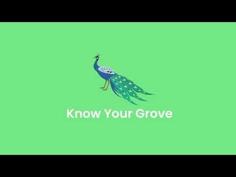 Know your Grove