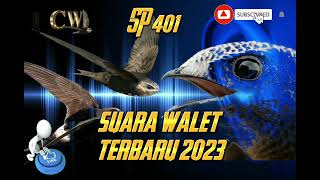 Download lagu 𝙨𝙪𝙖𝙧𝙖 𝙬𝙖𝙡𝙚𝙩 𝙩𝙚𝙧𝙗𝙖𝙧𝙪 2023.𝙨𝙥 401. untuk suara panggil .รังนกนางแอ่น(âm thanh nuốt) mp3