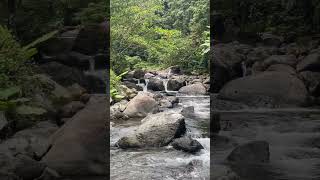 Download lagu Panatag at payapang kapaligiran sarap talaga sa probinsya panalong sariwang hangin #shortsfeed mp3 Download lagu Panatag at payapang kapaligiran sarap talaga sa probinsya panalong sariwang hangin #shortsfeed mp3