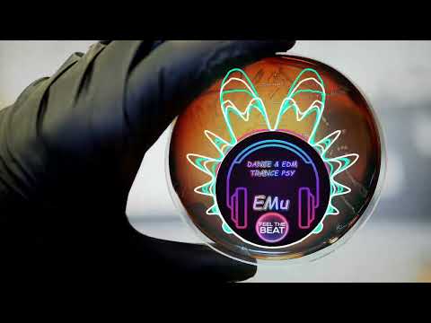 Britney Spears - Toxic (Psymon & Goafunkel, Mind Void Remix)