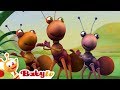 Big Bugs Band     Traditional African Music For Kids Cartoons BabyTV