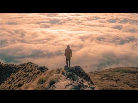 Lazarus Moment - Grassy Plains