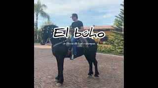 El Búho Lyrics English Translation