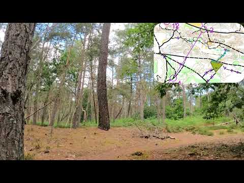 MTBO: Mountainbike-Orienteering, Middle, World Master Series M55, Fontainebleau 🇫🇷, June 4 2022