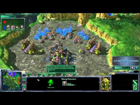 Starcraft 2: IMnesTea vs LiquidHuk