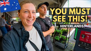 We Finally Explored The Hinterlands - This Is Why Everyone Loves It! Sunshine Coast, Australia 🇦🇺