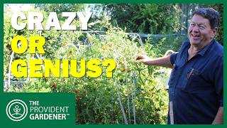 I've Been Using Tomato Cages Wrong My Entire Life (This Simple Trick Changes Everything)