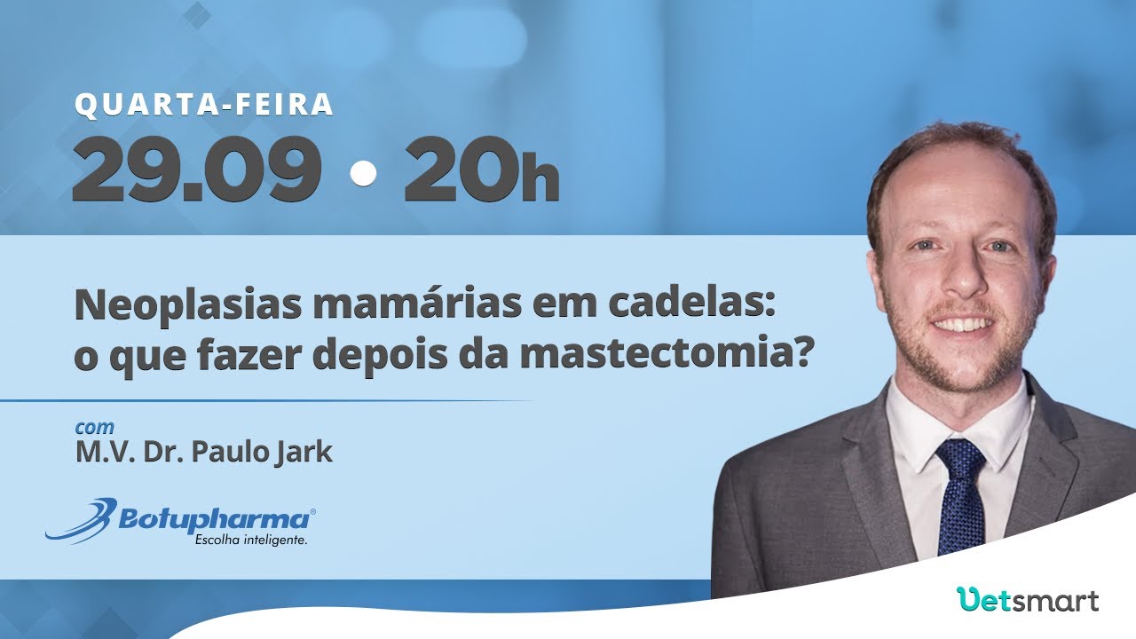 Neoplasias mamárias em cadelas: o que fazer depois da mastectomia