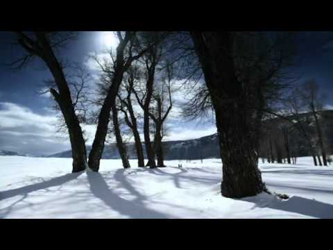 Frederick Delius - Winter Landscape