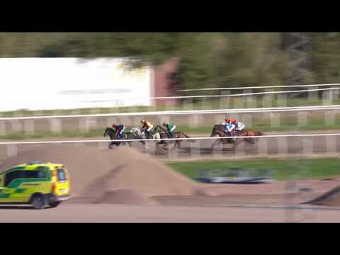 Peas And Carrots Mile (L) 2023 - Plantstepsdream