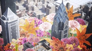 Maribou State - &#39;Kingdom (feat. North Downs)&#39; [Official Video]