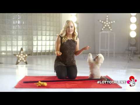#LottoTalent Masterclass from Britain's Got Talent - Lucy and Trip Hazard - Dog Tricks