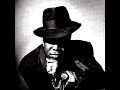 Barrington Levy - The vibes is right [lyrics]