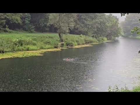 Schwimmen im Fluss Korana , Kroatien