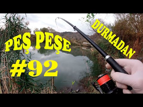 Peş Peşe BALIK AVI.Şamandıralı Olta.KEFAL AVI.KASNA AVI.Catch Fish.Float Fishing.Chub.river.rod #92