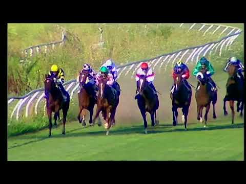 Napoli Galoppo 29/07/2022 - 4ª corsa