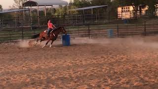 Barrel Racer Land
