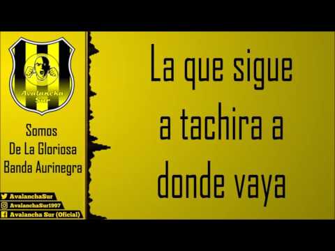 "Somos de la gloriosa banda aurinegra" Barra: Avalancha Sur &bull; Club: Deportivo Táchira