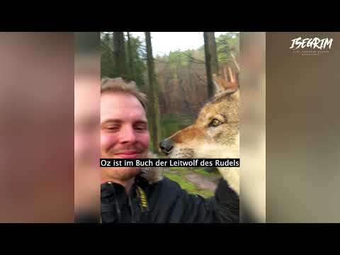 ISEGRIM - eine verdammt andere Geschichte