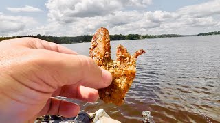 Fishing for Fish to EAT! - This was a GOOD DAY!