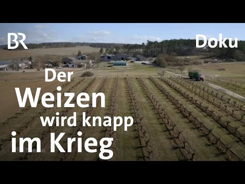 Ackern gegen Putin: Landwirtschaft in Kriegszeiten | Bauern | Doku | DokThema | BR