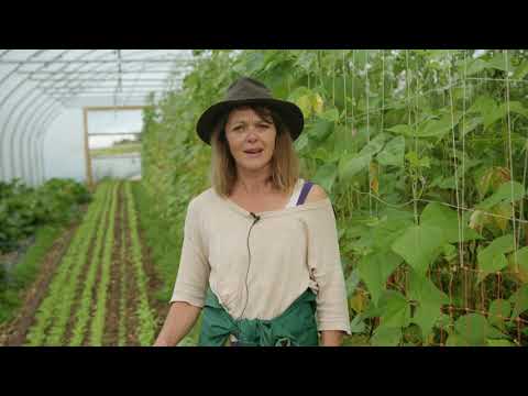 Market Gardening: From Soil to Sales