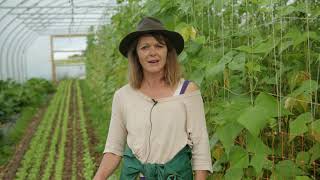 Market Gardening: From Soil to Sales