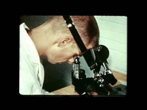 Saturn Quarterly Film Report Number Nine - September 1961 (archival film)