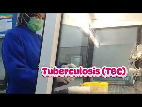 Pengertian dan Tujuan Tes Dahak