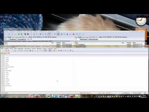 Список исключений программы Ходяга