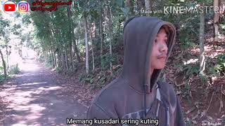 Download lagu Demi kau dan sibuah hati (versi story WA) mp3 Download lagu Demi kau dan sibuah hati (versi story WA) mp3