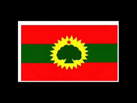 Faaxee anniyyaa New music 🎵🎶