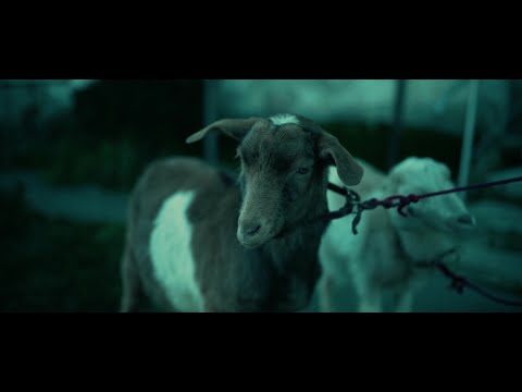 Beni VM - RO NATION 2 (PROD.ZAIDBREAK) #ROMANIANDRILL #SPANISHDRILL