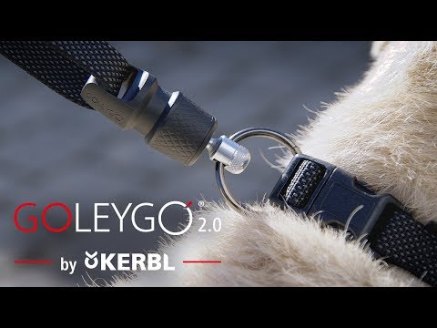 Goleygo 2.0 door Kerbl / aangelijnde hond