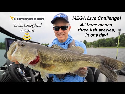 Humminbird Mega Live 3-Mode Challenge - On The Water with The Technological Angler S2E3
