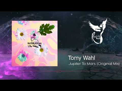 PREMIERE: Tomy Wahl - Jupiter To Mars (Original Mix) [Natura Viva]