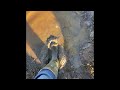 Muddy Green Wellies 6
