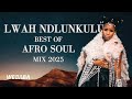 Lwah Ndlunkulu Best Of AfroSoul Mix 2025 Dj Webaba