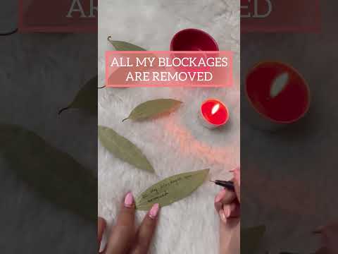 Remove Obstacles in Your Path with the Simple Yet Powerful Bay Leaf Herb