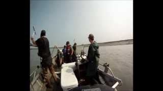 preview picture of video '2012 Kenai River Dip Netting'