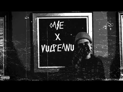 OASE x VULPEANU - VMFSFB